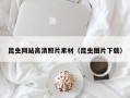 大竹昆虫网站高清照片素材（昆虫图片下载）